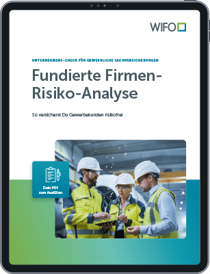Titelbild der Firmen-Risiko-Analyse, auf dem Titelbild sind drei Mitarbeiter mit Sicherheitshelm zu sehen, die in einer Produktionshalle stehen